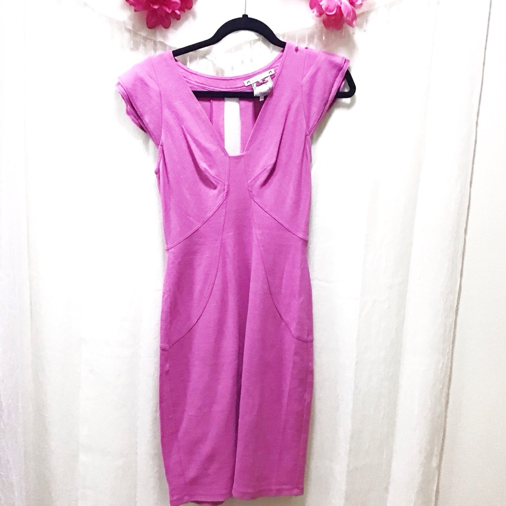 Yolanda Baraschi Bodycon Dress